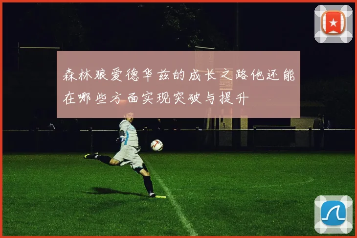 森林狼爱德华兹的成长之路他还能在哪些方面实现突破与提升