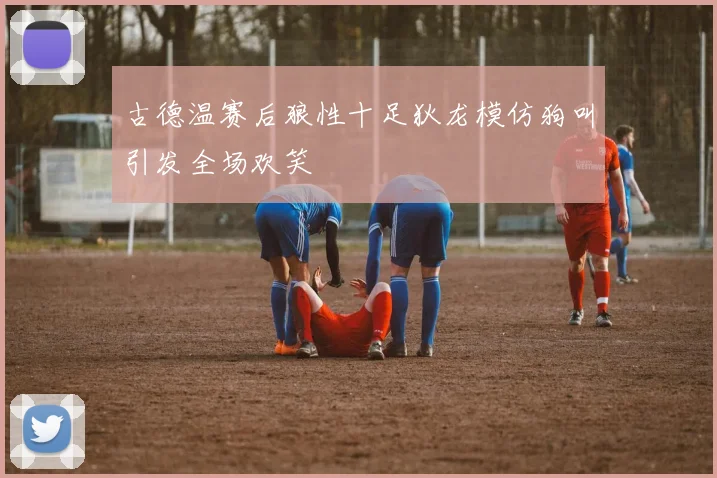 古德温赛后狼性十足狄龙模仿狗叫引发全场欢笑