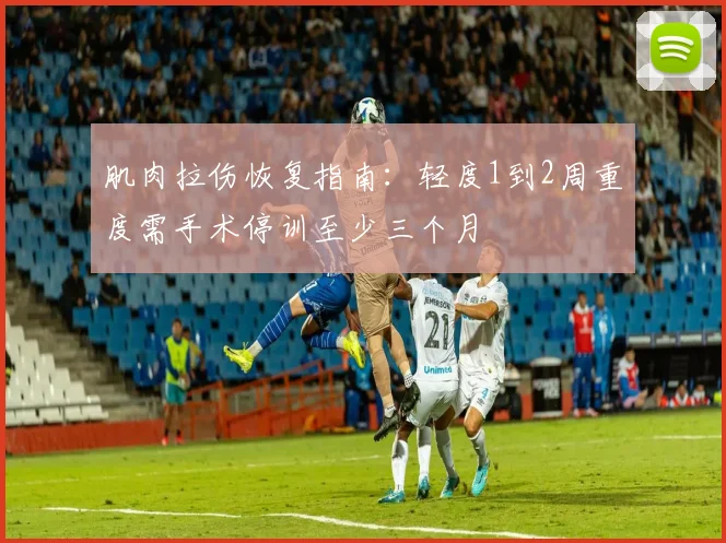 肌肉拉伤恢复指南：轻度1到2周重度需手术停训至少三个月