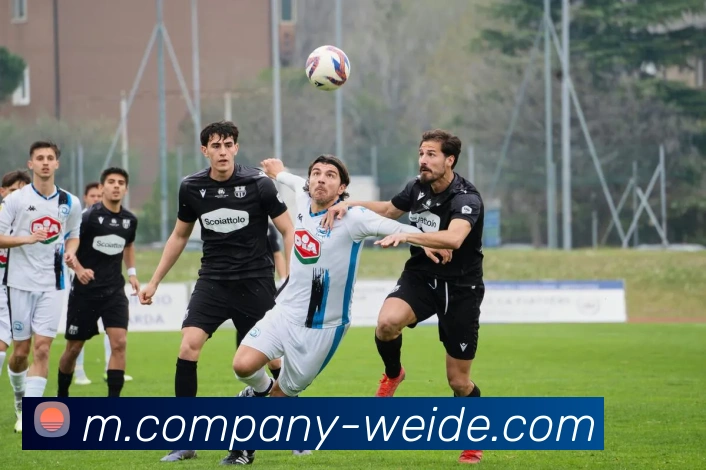 伟德体育发展历程